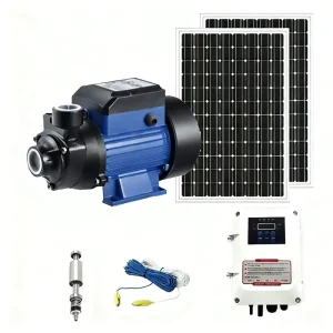 0.75HP-3HP MPPT Solar Surface Water Pump Copper Impeller IP65 Enclosure Max 98% Efficiency for Home Agricultural Use AC/DC