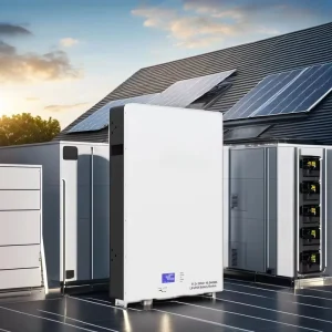 10.24KWH Lifepo4 Solar Battery 48v 200ah Lithium Ion Solar Battery 10kwh Pack for Home Compatible Inverter with APP Control