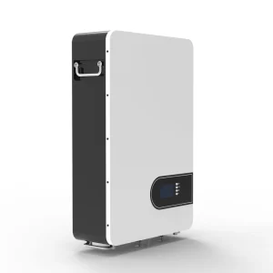 10KWH 51.2V LiFePO4 Split Battery Pack Wall-Mounted CAN Communication 48V 200AH Low Voltage for Solar Storage Systems