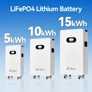 10kWh 51.2V LiFePO4 Hybrid Grid Wall Mounted Solar Battery with BMS for Home Energy Storage and Inverter Compatible Backup Power