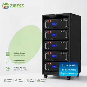 10kWh Rack-Mounted Lithium Battery Storage System, 51.2V 200Ah, CAN/RS485, for Home Solar Battery and Hybrid Inverter