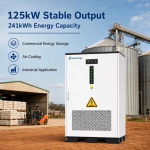 125kW 241kWh LiFePO4 Solar Diesel Energy Storage Cabinet for African Agricultural Irrigation Peak Shaving with Hybrid Control