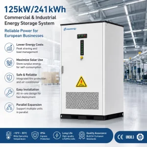 125kW 241kWh LiFePO4 Solar Diesel Energy Storage Cabinet for African Telecom Energy Hub Backup Power with Parallel Design