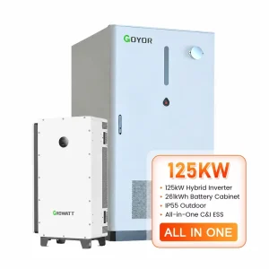 125kW 261kWh Liquid-Cooled IP65 Energy Storage Cabinet 215kWh LiFePO4 ESS Battery Hybrid System Built-in EMS