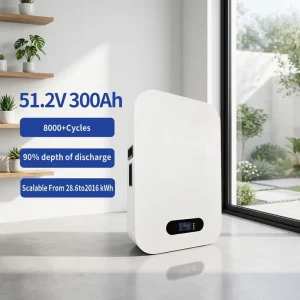 15KW Home Power Wall 51.2V 300Ah Grade a LiFePO4 Lithium Battery CAN Smart BMS Off Grid Wall Mounted Energy Storage