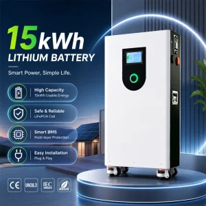 15Kwh 20Kwh Solar System Home Battery Lithium with Wheels 51.2V Lithium Energy Storage Batteries for Home
