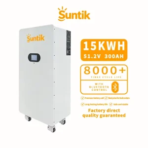 15Kwh Solar Lifepo4 Lithium Battery Home 51.2V 300Ah 600Ah 800Ah 1000Ah 50kwh Battery Energy Storage System