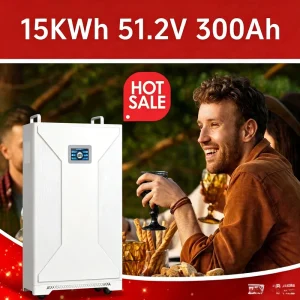 15kWh 51.2V 300AH Split Type CAN Communication Wall Mounted LiFePO4 Battery with Touch Screen