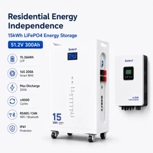 15kWh LiFePO4 Stackable Wall-Mounted Hybrid Grid Home Energy Storage 51.2V 300Ah Solar Battery