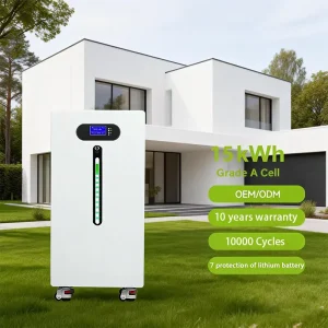 ESG A Quality LiFePO4 Battery 51.2V 314Ah 16kWh Solar Energy Storage Battery Power Generation System Including BMS WiFi