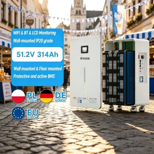 16kWh 51.2V 314Ah LiFePO4 Home Energy Storage Battery OEM ODM Solar Lithium Battery 8000 Cycles Smart BMS Backup Power System
