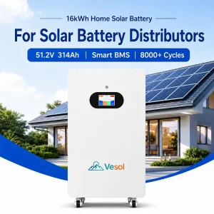 16kWh 51.2V 314Ah LiFePO4 Home Solar Battery with Smart BMS CAN RS485 for Residential Energy Storage OEM ODM Supplier