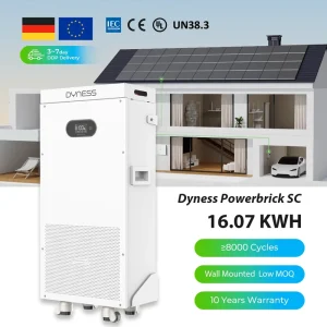 16kWh LiFePO4 Home Battery System Dyness PowerBrick SC for Solar Backup & Off-Grid, 51.2V 314Ah 8000 cycle home energy storage