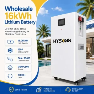 16kWh LiFePO4 Lithium Battery 51.2V 314Ah Home Storage Battery for Solar Distributors
