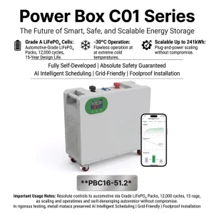 16kWh LiFePO4 Split Hybrid Grid Energy Storage Battery 51.2V 314Ah for Solar Inverter Backup Power System