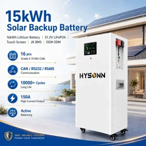 16kWh Lithium Battery 15kWh Solar Backup Battery 51.2V LiFePO4 Touch Screen JK BMS OEM ODM