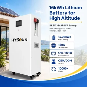 16kWh Lithium Battery 51.2V 314Ah LFP Solar Storage Home Power BMS with Active Balance