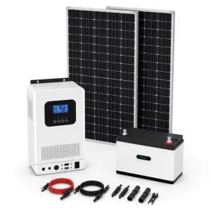 1kW Off Grid Solar Kit with MPPT Inverter 24V 100Ah LiFePO4 Battery for Home Lighting Backup