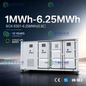 2.5MWh 0.5C BESS Container 40ft High-Quality LiFePO4 Liquid Cooling 8000 Cycles Commercial Park On/Off Grid CE