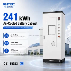 241kWh 100kW C&I Energy Storage System Air Cooled LFP Battery Cabinet Commercial BESS for Solar Storage and Peak Shaving