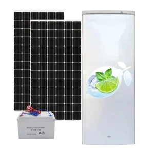 24V 198L Solar Ice Block Machine Upright Freezer Nigeria Solar Fast Freezing Ice Maker