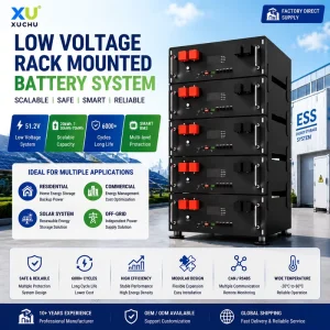 25.6V-51.2V 100Ah 2.56kWh Rack Mounted LiFePO4 Battery with CAN RS485 for Solar Energy Storage Home Backup Off-Grid System