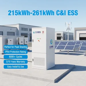 261kWh Battery Energy Storage System with 125kW PCS for Commercial Use 166.4V 314Ah Lithium Battery