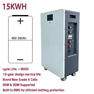 48V (51.2V) 15kWh 300Ah Split Lithium-Ion Battery Pack Home Solar Energy Storage System LiFePO4 Movable Wall-Mounted CAN