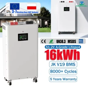48V 51.2V Movable Floor Standing 314Ah Lifepo4 Solar Battery with JK V19 BMS for Home Power Energy Storage