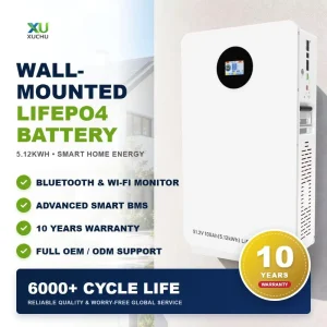 5.12kWh 10.24kWh Wall Mounted LiFePO4 Hybrid Grid Home Solar Energy Storage Battery 51.2V 100Ah 200Ah 5 10kW CAN RS485