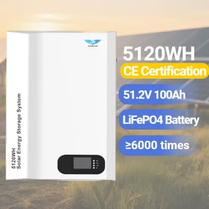 5.12kWh CE Wall Mounted Solar Energy Storage System 51.2V 100Ah Lithium Ion Home Use 6000 Hours