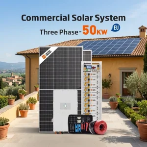 50kW 100kWh PV ESS System LiFePO4 Battery Three Phase Hybrid Inverter for Commercial Building Use
