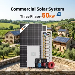 50kW 100kWh Three Phase Solar System Hybrid Inverter Battery for Home Villa Farm