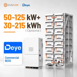 50kW 80kW 100kW 125kW Hybrid 3 Phase Inverter with 30kWh 100kWh 215kWh Lithium Battery Pack Industrial Energy Storage