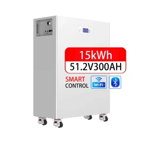 51.2V 100Ah 200Ah 280Ah 314Ah Solar Energy System 10Kwh 15Kwh LiFePO4 Lithium Ion Battery Pack 48V Home Energy Storage System
