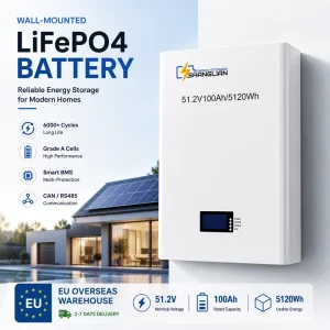 51.2V 100Ah 200Ah Lithium Battery 5KWh Wall Mounted Energy Storage System LiFePO4 Battery Pack Solar Home Battery for Inverter