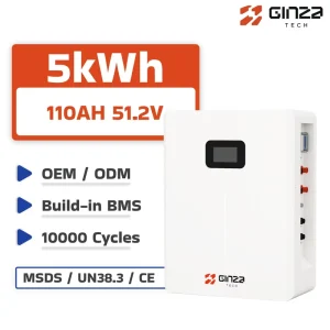 51.2V 100Ah 5.12kWh Wall Mounted LiFePO4 Battery for Home Energy Storage IP65 Lithium Ion Batteries with BMS CAN RS485 Bluetooth
