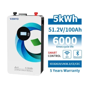 51.2V 100Ah 5kWh Lifepo4 Battery Powerwall Lithium Batteries Energy Storage for Solar System