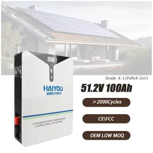 51.2V 100Ah LiFePO4 Solar Energy Storage Battery 5.12 KWh Wall Mounted Lithium Ion Batteries