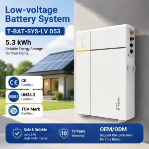 51.2V 100Ah Lifepo4 Home Battery Pack 5.3kWh Low Voltage ESS >6000 Cycles Wall Mounted Deep Cycle Solar Power Storage Battery