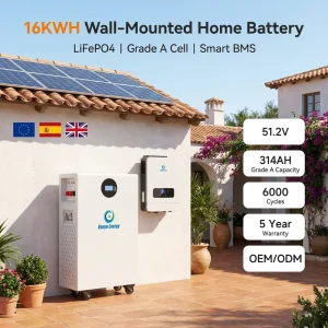 51.2V 16kWh 314Ah LiFePO4 Battery Supplier OEM ODM Solar Energy Storage Batteries