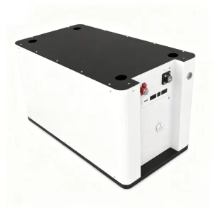 51.2V 16kWh LiFePO4 Home Storage Battery with Smart BMS for Hybrid Inverter Off-Grid System