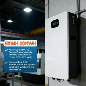 51.2V 200Ah 10.24kWh Lithium LiFePO4 Wall Mount Solar Hybrid Inverter BMS Home Energy Storage 6000 Cycles Residential