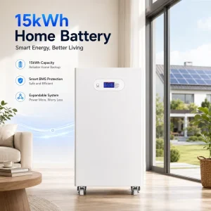 51.2V 200Ah 280Ah 314Ah Lithium Battery 10kWh 15kWh Home Solar Energy Storage System 48V Vertical LiFePO4 Battery