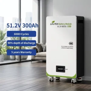 51.2V 300Ah 15.36kWh Dual Use Wall Mount & Floor LiFePO4 Power Wall Smart CAN BMS Off-Grid Home Solar Energy Storage Battery