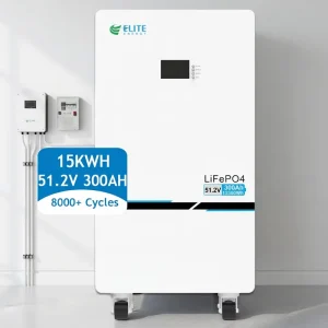 51.2V 300Ah Lifepo4 House Battery 48V 15Kwh Home Energy Storage System Solar Power Wall Lithium Ion Batteries Pack with Wheels