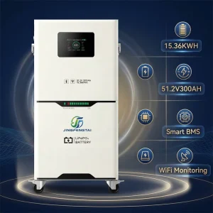 51.2V 314Ah Lithium Iron Phosphate Battery 16.1kWh 200A Continuous 6000 Cycles BMS for UPS Solar System