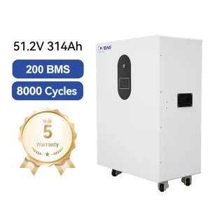 51.2V 314Ah Split Floor Mounted LiFePO4 Battery CAN Communication Home Solar Portable Power Station
