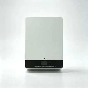 51.2V 48V 100Ah 200Ah Wall Mount LiFePO4 Battery 5Kwh 10Kwh 15Kwh 20Kwh Off Grid Solar Home Backup Lithium Storage Battery