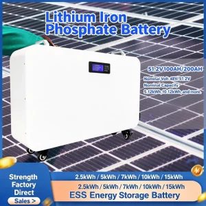 51.2V 5KWH 10KWH Mobile Solar Battery Emergency Backup Power Station Residential Energy System LiFePO4 6000 Cycle OEM ODM 5 10kW